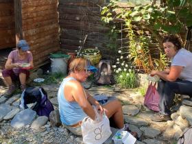 photo coins arrondis