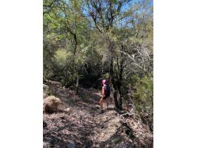 photo coins arrondis