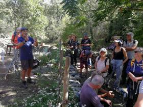 photo coins arrondis