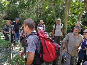 photo coins arrondis