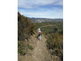 photo coins arrondis