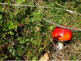 photo coins arrondis