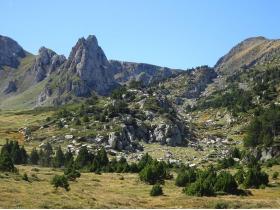 photo coins arrondis