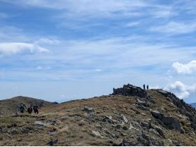 Image al&eacute;atoire