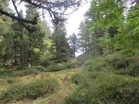 photo coins arrondis