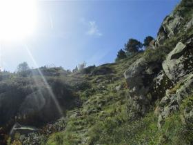 photo coins arrondis