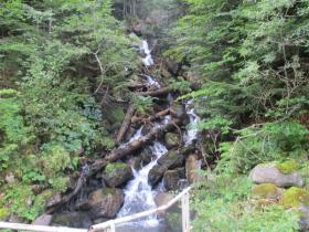 photo coins arrondis