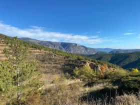 photo coins arrondis