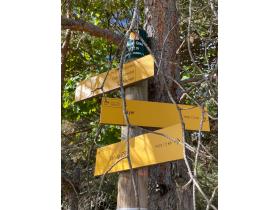 photo coins arrondis