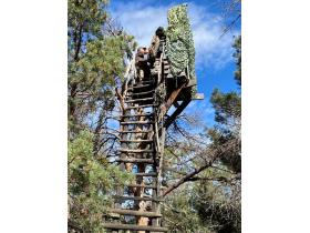 photo coins arrondis