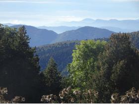 photo coins arrondis