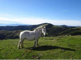 photo coins arrondis