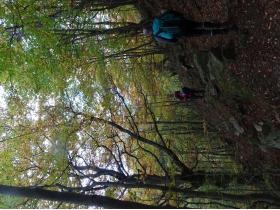 photo coins arrondis