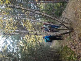 photo coins arrondis