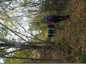 photo coins arrondis