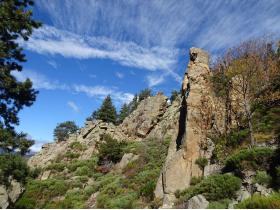 photo coins arrondis