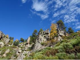 photo coins arrondis