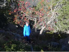 photo coins arrondis