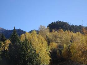 photo coins arrondis