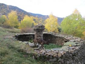 photo coins arrondis