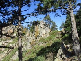 photo coins arrondis