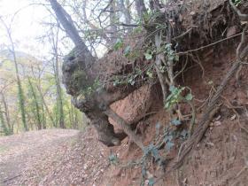 photo coins arrondis