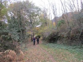 photo coins arrondis