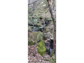 photo coins arrondis