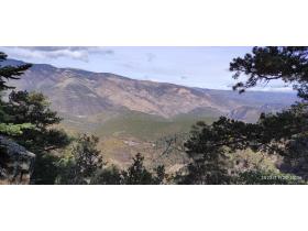 photo coins arrondis