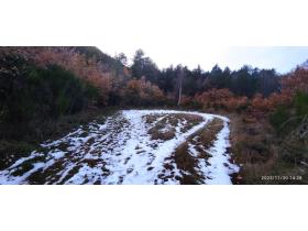 photo coins arrondis