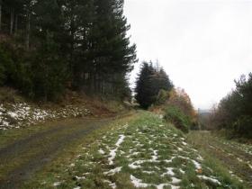 photo coins arrondis