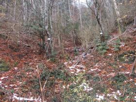 photo coins arrondis