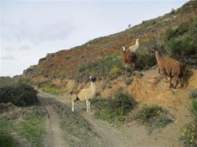 photo coins arrondis