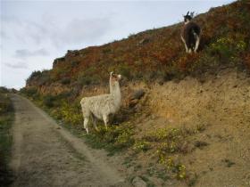 photo coins arrondis