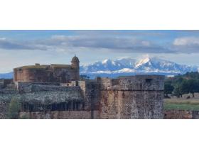 photo coins arrondis