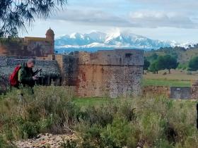 photo coins arrondis