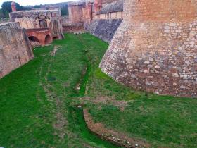 Image al&eacute;atoire