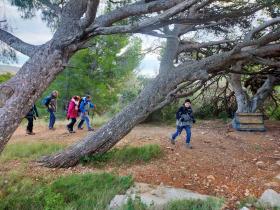 photo coins arrondis