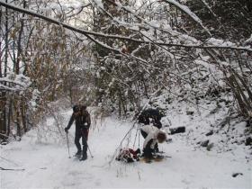 Image al&eacute;atoire