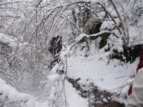 photo coins arrondis