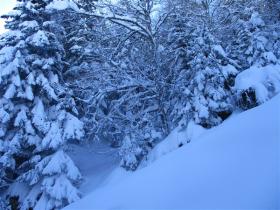 photo coins arrondis