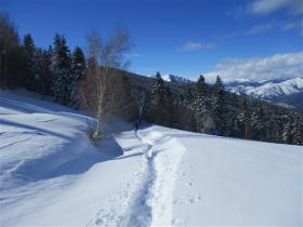 photo coins arrondis