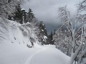 photo coins arrondis