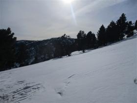 photo coins arrondis