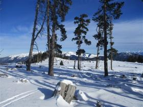 photo coins arrondis