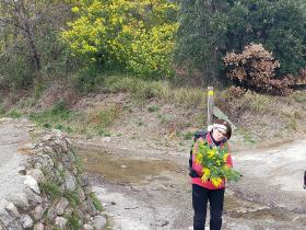 photo coins arrondis