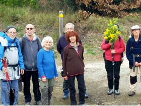 photo coins arrondis