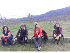 photo coins arrondis