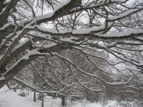 photo coins arrondis