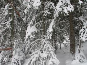 photo coins arrondis